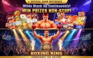 ace360 Boxing King